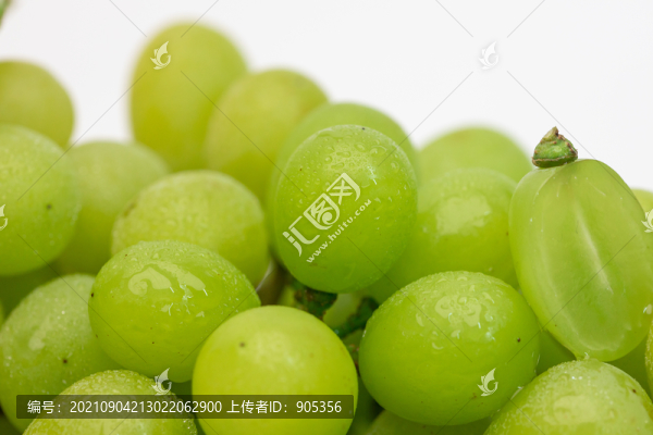 陽(yáng)光玫瑰
