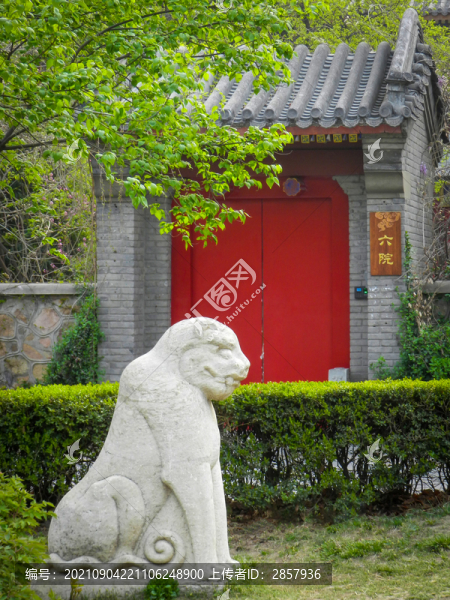 北京大學(xué)靜園六院門前石虎