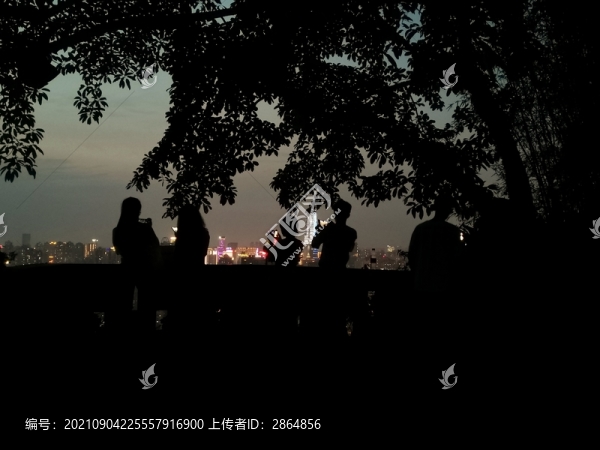 重慶鵝嶺公園夜景