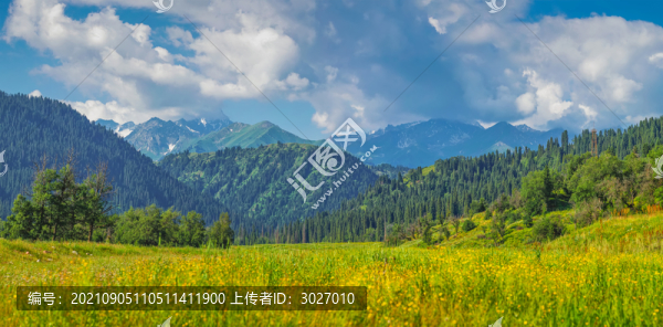 庫爾德寧草原