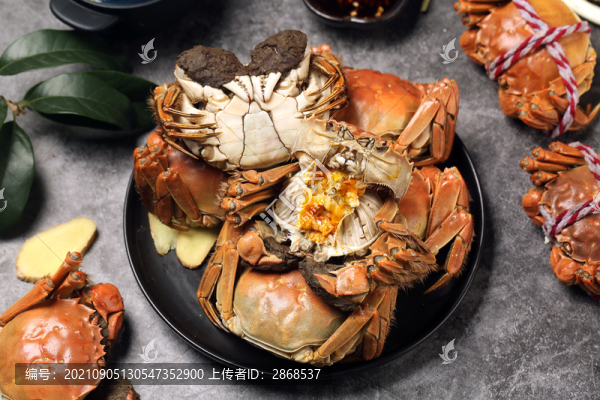 大閘蟹
