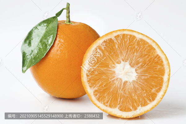 臍橙