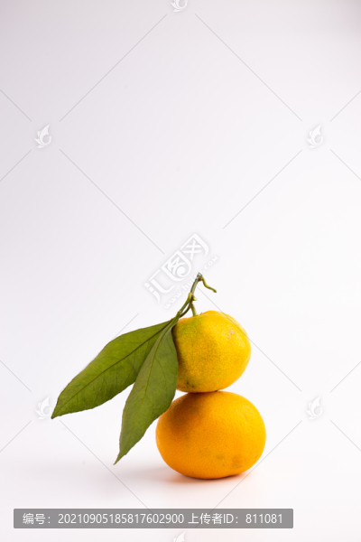 創(chuàng)意水果拍攝