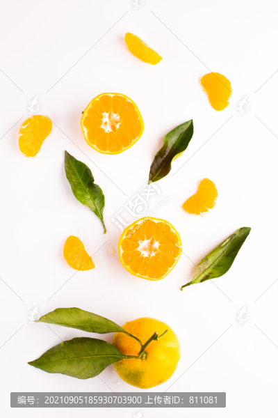 創(chuàng)意桔子拍攝