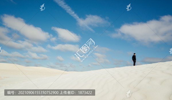 清新藍天雪景西裝筆挺男子站立雪中海報設計