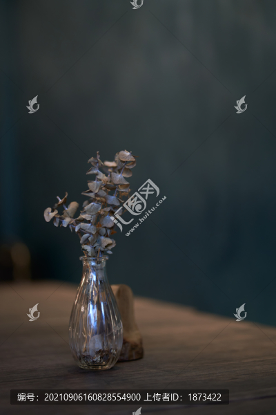 干燥花瓶木頭擺設(shè)深綠色背墻近景攝影照