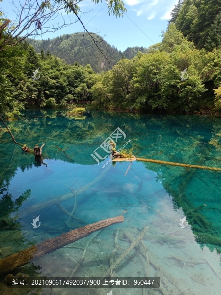 九寨溝山水風景清澈湖水
