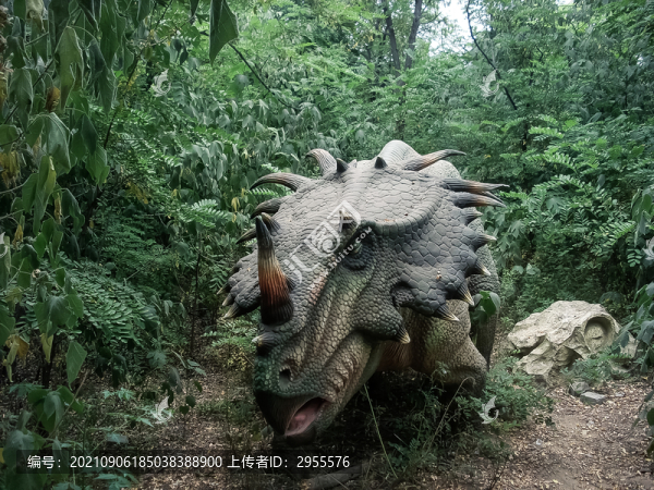 獨(dú)角龍