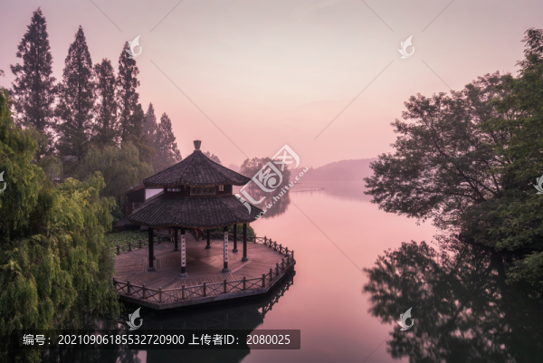杭州西湖黛色參天