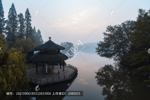 杭州西湖黛色參天