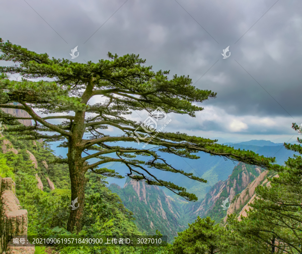 黃山