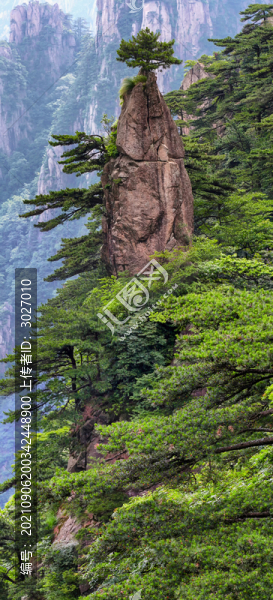 黃山夢(mèng)筆生花