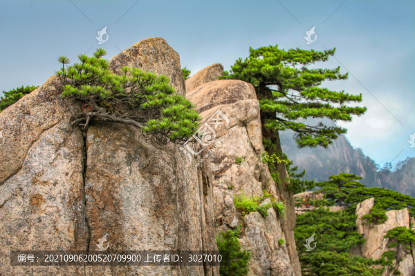 黃山