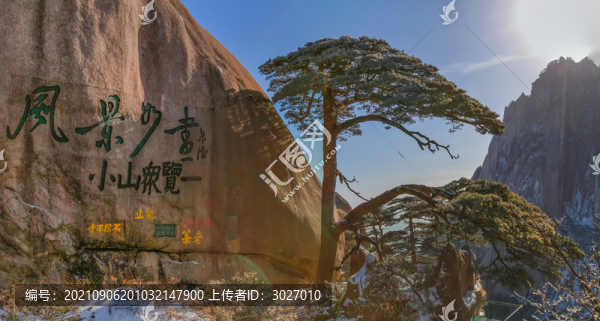 黃山迎客松