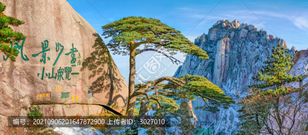 黃山迎客松