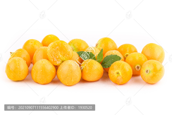 黃燈籠果