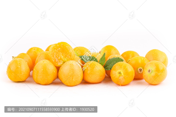 燈籠果