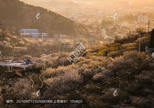 美麗鄉(xiāng)村風(fēng)光