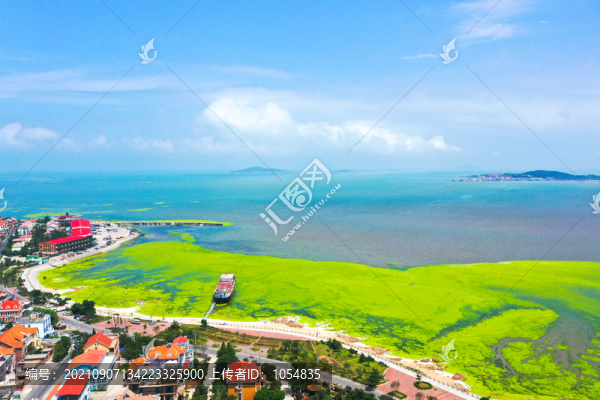 海邊漁村滸苔
