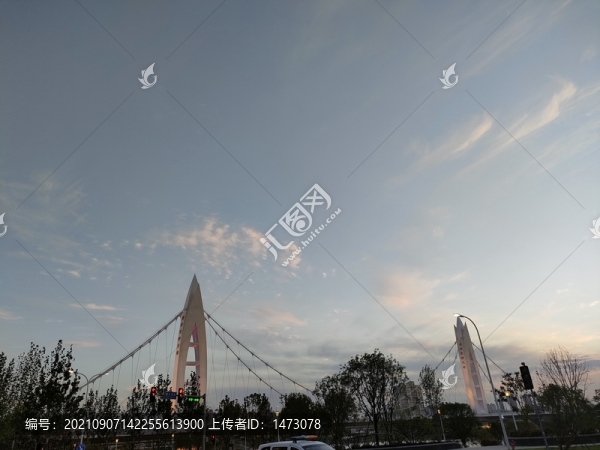 橋