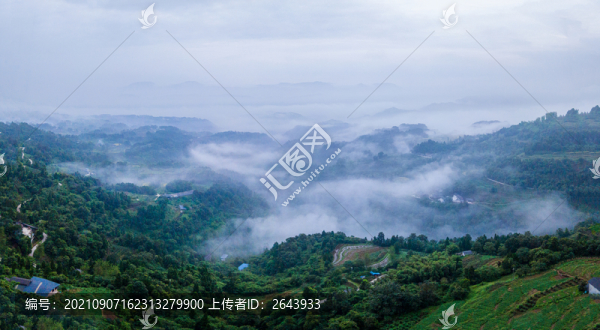 重慶江津區(qū)鄉(xiāng)村晨霧似仙境