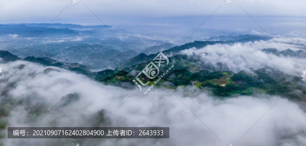 重慶江津區(qū)鄉(xiāng)村晨霧似仙境