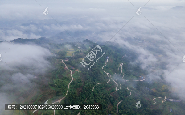 重慶江津區(qū)鄉(xiāng)村晨霧似仙境