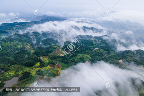 重慶江津區(qū)鄉(xiāng)村晨霧似仙境