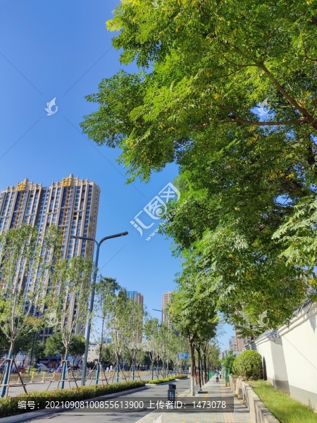 藍天