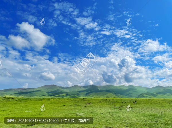 藍天白云草地