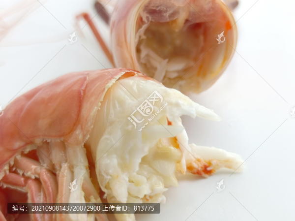 肥美蝦仁圖片