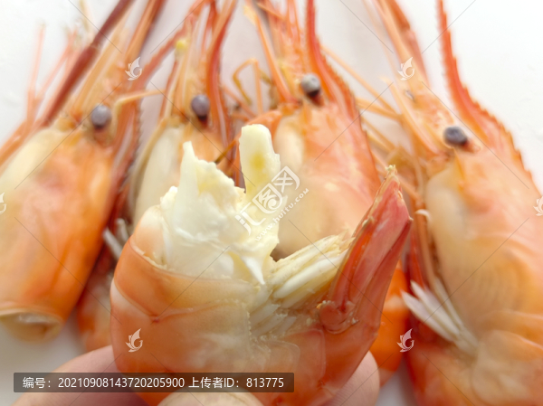 河鮮美食
