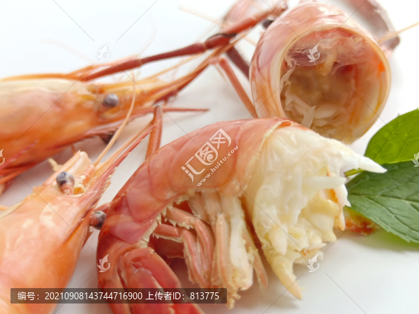 鮮美草蝦蝦仁
