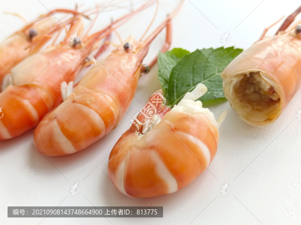 鮮肉拍攝