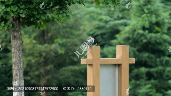 巢湖城市口袋公園之丁崗河公園