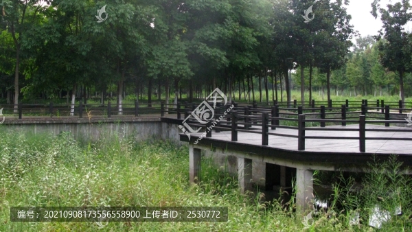 巢湖城市口袋公園之丁崗河公園