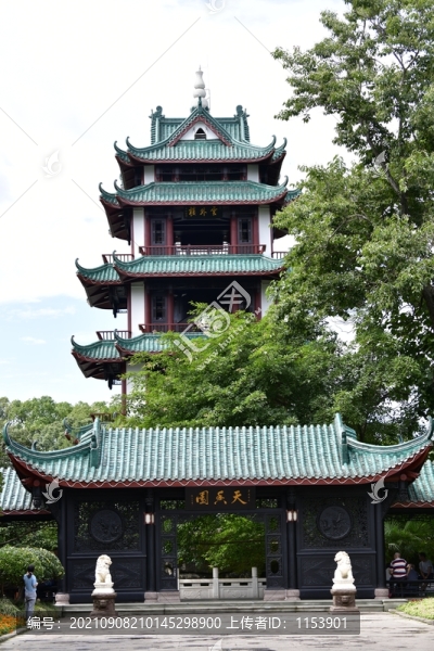 桂湖森林廣場(chǎng)