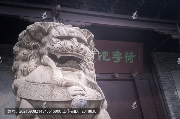 荷花池前的石獅