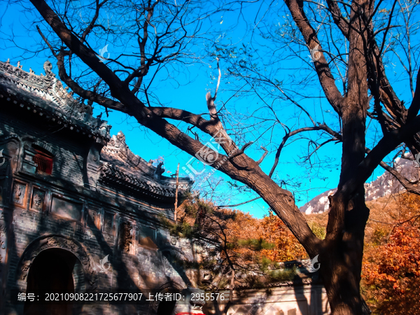 山林中的寺廟