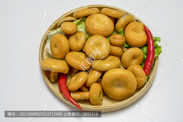 野生蘑菇松樹菌