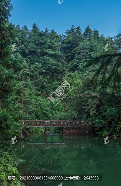 重慶大圓洞森林公園