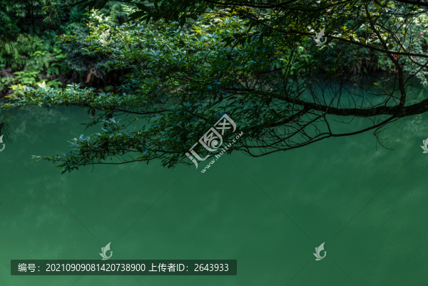 重慶大圓洞森林公園