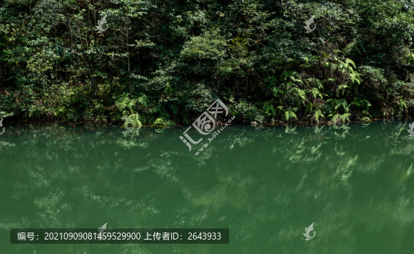 重慶大圓洞森林公園