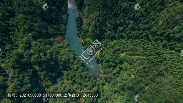重慶大圓洞森林公園