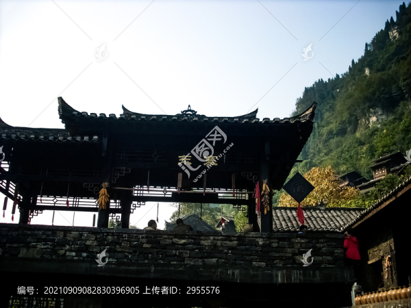 東寨