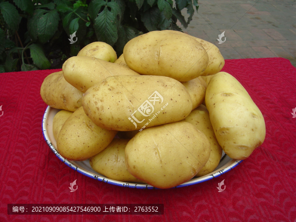 土豆