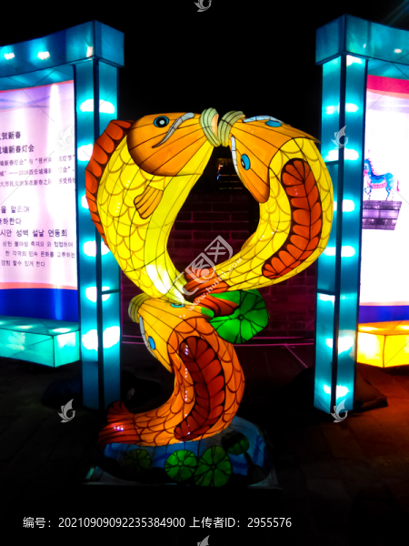 魚花燈