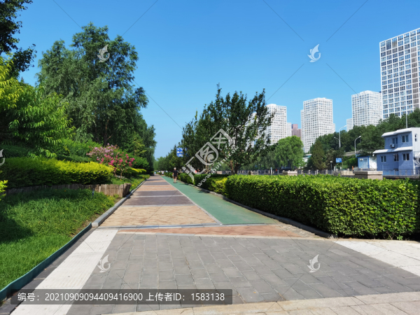 北京慶豐公園風(fēng)光