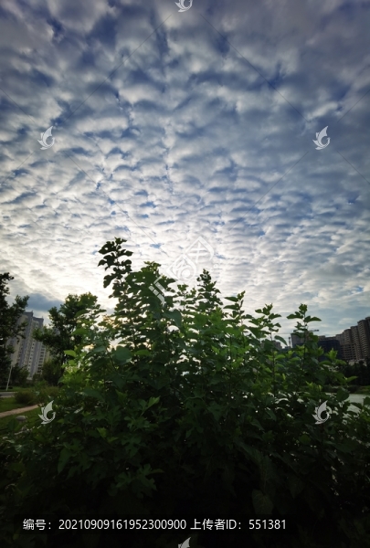 天空