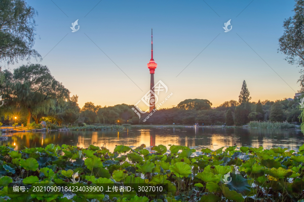 玉淵潭公園夜景